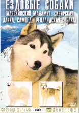 Ездовые собаки (Аляскинский маламут, Сибирский хаски, Самоед, Гренландская собака)
