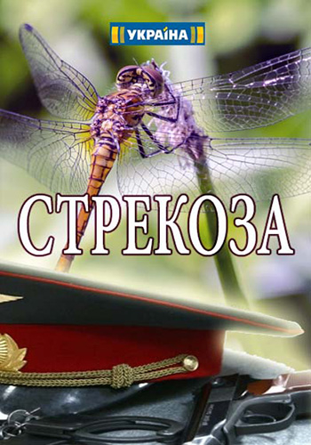 Стрекоза