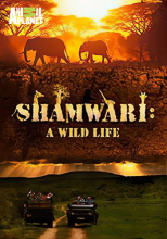 Шамвари: Жизнь на воле
