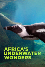 Африканские подводные чудеса