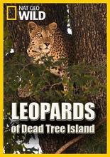 Леопарды дельты Окаванго