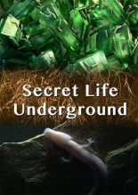 Тайны подземного мира (Секреты подземной жизни)