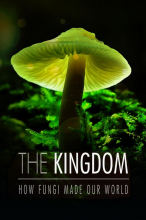 Тайное царство: Грибы, определившие наш мир