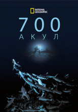 700 Акул