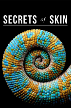 Секреты кожи