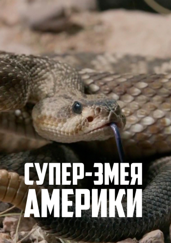 Супер-змея Америки