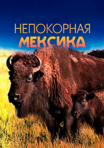 Непокорная Мексика