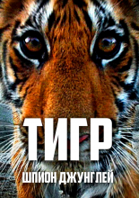 Тигр — Шпион джунглей