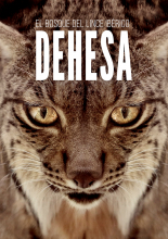 Дехеса: Лес пиренейской рыси