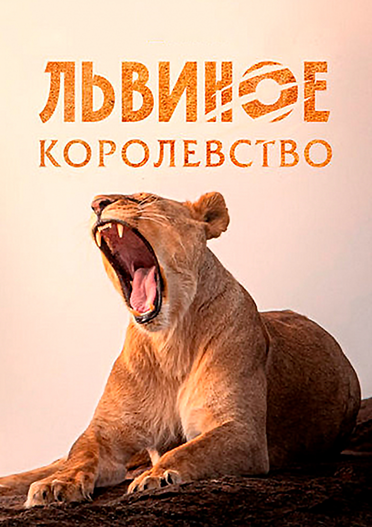 Львиное королевство» (сериал, Lion Kingdom, документальный, 2017) |  Cinerama.uz - смотреть фильмы и сериалы в TAS-IX в хорошем HD качестве.