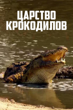 Царство крокодилов