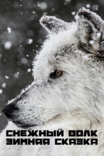 BBC: Снежный волк. Зимняя сказка