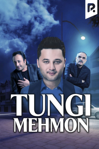 Tungi mehmon