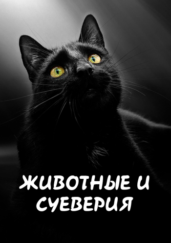 Животные и суеверия