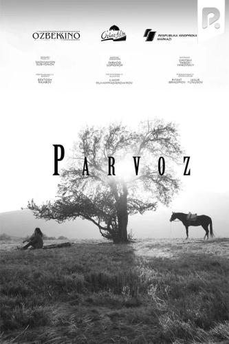 Parvoz